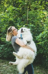 Dog Spleen Removal Aftercare
